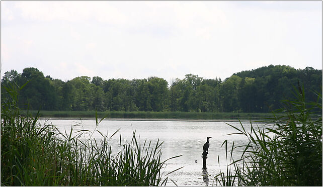 2009-07 Jezioro Arklickie 1, Markuzy, Markuzy 11-410 - Zdjęcia