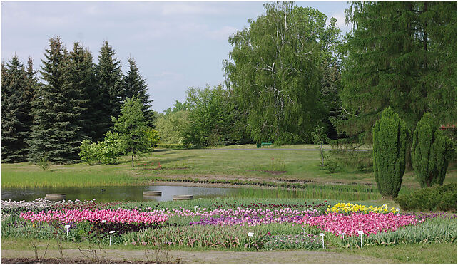 Łódzki Ogród Botaniczny, Konstantynowska, Łódź 94-107 - Zdjęcia