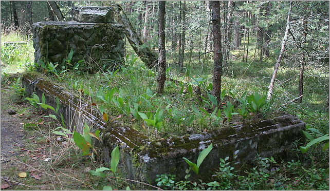 Łeba - Old cemetery 06, Rąbka, Łeba 84-360 - Zdjęcia