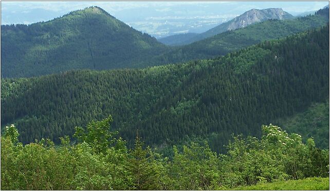 Łysanki, Sarnia Skała, Krzeptówki, os., Zakopane 34-500 - Zdjęcia