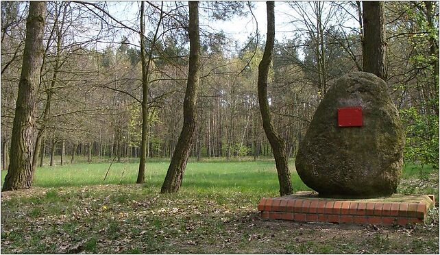 Śrem - Park Powstańców04, Parkowa, Śrem 63-100 - Zdjęcia