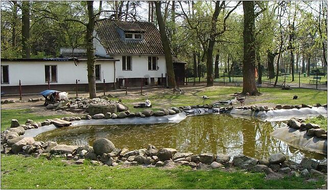 Śrem - Park Powstańców10, Franciszkańska, Śrem 63-100 - Zdjęcia