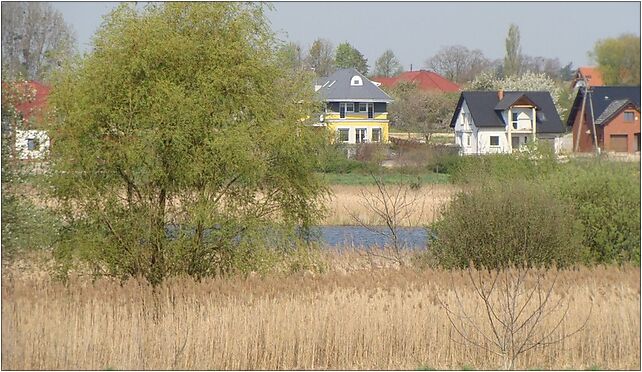 Śrem - Puchalski3, Kilińskiego Jana, Śrem 63-100 - Zdjęcia