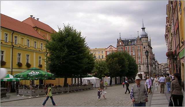 Świdnica, Rynek 05, Rynek 41, Świdnica 58-100 - Zdjęcia