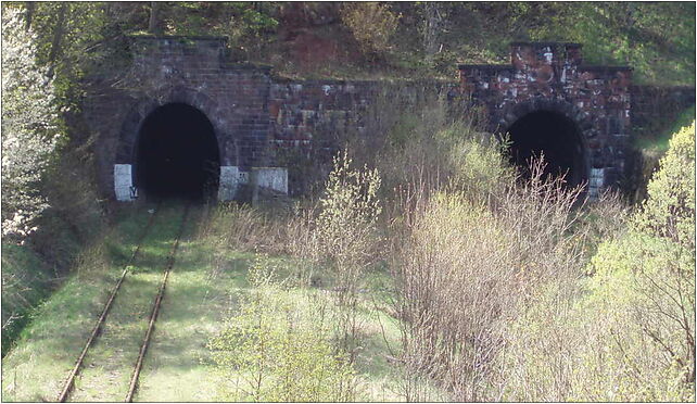 Świerki tunel, Świerki Dolne, Świerki Dolne 57-451 - Zdjęcia