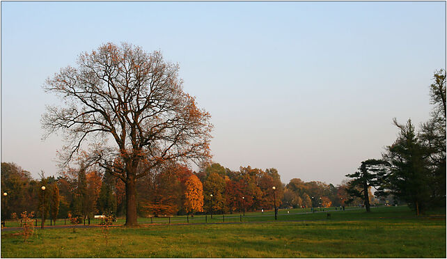 Świerklaniec - Park 01, Parkowa, Świerklaniec 42-622 - Zdjęcia