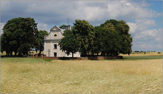 Żelechów-Stanisława, Wojska Polskiego, al., Żelechów 08-430 - Zdjęcia