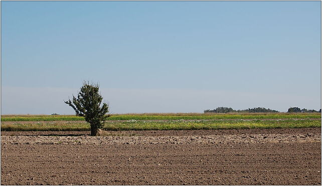 Żelechów-fields, Żelechów - Zdjęcia