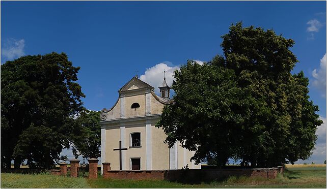 Żelechów-kościół św. Stanisława, Wojska Polskiego, al. 08-430 - Zdjęcia