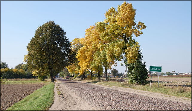 Żelechów-road, Wojska Polskiego, al., Żelechów 08-430 - Zdjęcia