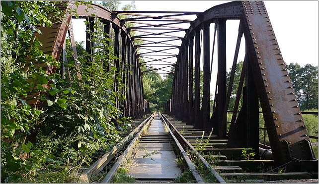 Abandoned bridge over Glatzer Neisse in Ottmachau from the North 48-385 - Zdjęcia