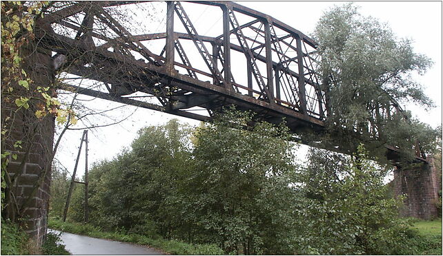 Abandoned railway bridge Tlumaczow 2007, Tłumaczów, Tłumaczów 57-408 - Zdjęcia