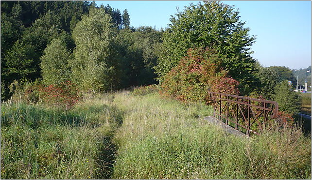 Abandoned railway bridge by Schlaney, Słone, Kudowa-Zdrój 57-350 - Zdjęcia