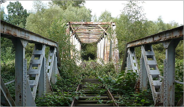 Abandoned railway bridge over Ziegenhalser Biele by Mohrau, Nyska 48-303 - Zdjęcia