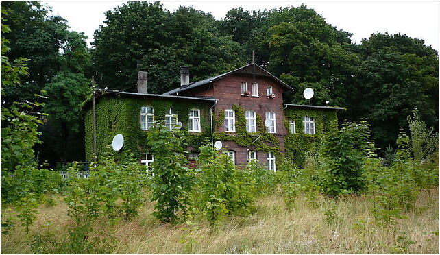 Abolished railway station Reichenstein, Kolejowa, Złoty Stok 57-250 - Zdjęcia