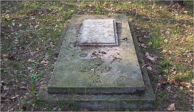 Adamow partisan grave01, Las Radziejowicki, Adamów-Wieś 96-325 - Zdjęcia