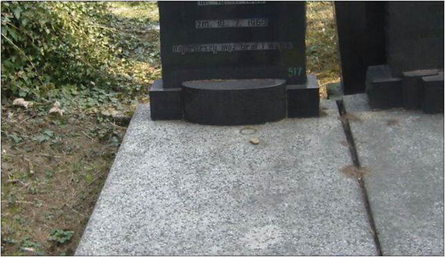 Adolf Herman grave, Cieszyńska 92, Bielsko-Biała 43-300 - Zdjęcia