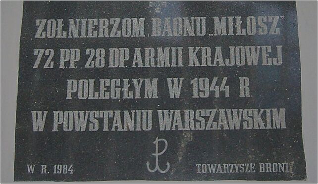 AK MIŁOSZ, Złota, Warszawa od 00-019 do 00-120 - Zdjęcia
