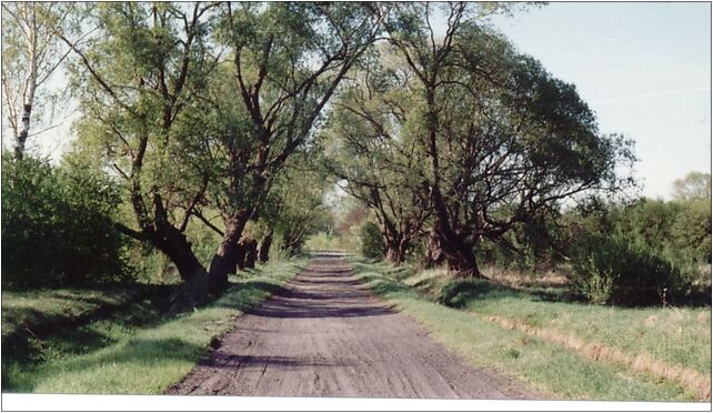 AleyaVyezhbovaRadooch, Raducz - Zdjęcia