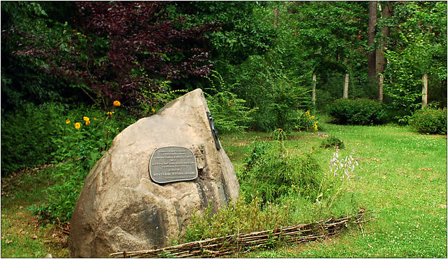 Arboretum w Kopnej Gorze kamien Wygralaka, Kopna Góra, Kopna Góra 16-030 - Zdjęcia