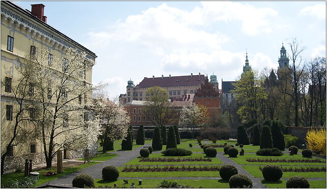 Archaeological Museum's Garden, 3 Poselska street,Old Town,Krakow,Poland 31-002 - Zdjęcia