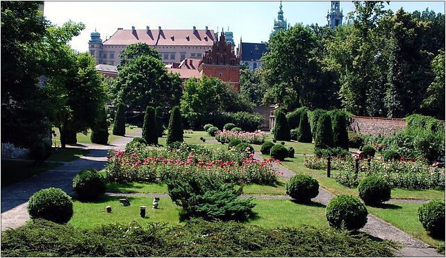 Archaeological Museum Garden in Krakow2, Poselska 3, Kraków 31-002 - Zdjęcia