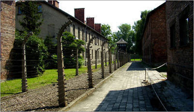 Auschwitz2009, Ofiar Faszyzmu, Brzezinka 32-600 - Zdjęcia