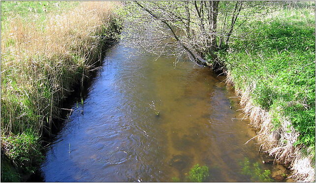 Błotnica river 2009-05a, Błotnica, Błotnica 78-122 - Zdjęcia