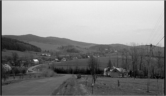 Bandrow grey, Bandrów Narodowy - Zdjęcia