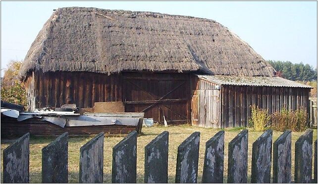 Barn in Poland01, Tarczyńska876, Piotrkowice 96-321 - Zdjęcia