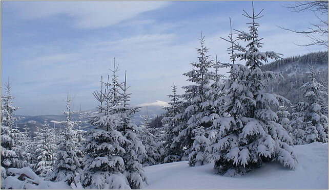 Beskid Żywiecki - winter 2008, Turystyczna, Korbielów 34-335 - Zdjęcia