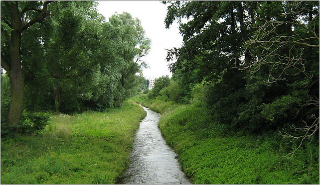 BialaLada, Dworcowa, Biłgoraj 23-400 - Zdjęcia
