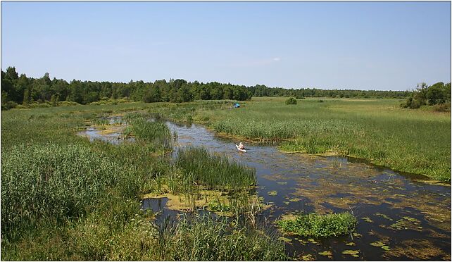 Biebrza spływ kajakowy 17.07.2009 p, Batorego, Kolonie Lipsk 16-315 - Zdjęcia