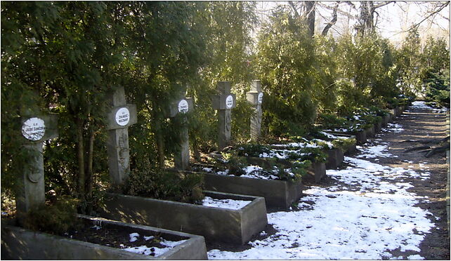 Bielsko-Biała, cmentarz wojskowy - groby 2, Saperów 24 43-303 - Zdjęcia