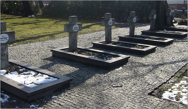 Bielsko-Biała, cmentarz wojskowy - groby, Saperów, Bielsko-Biała 43-303 - Zdjęcia