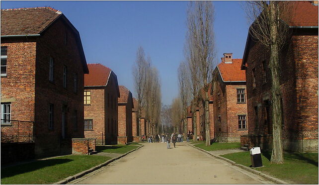 Bloki Auschwitz, Ofiar Faszyzmu, Brzezinka 32-600 - Zdjęcia