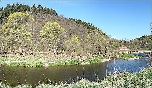 Bobr river near Bobrow panorama 01, Bobrów, Bobrów 58-500 - Zdjęcia