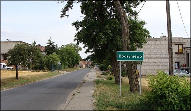 Bodzyniewo1, Wirginowo 19, Wirginowo 63-100 - Zdjęcia