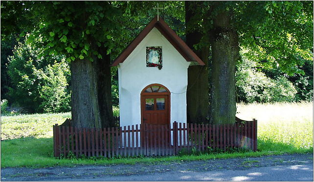 Boguszówka (województwo podkarpackie)-kapliczka, Boguszówka 37-740 - Zdjęcia