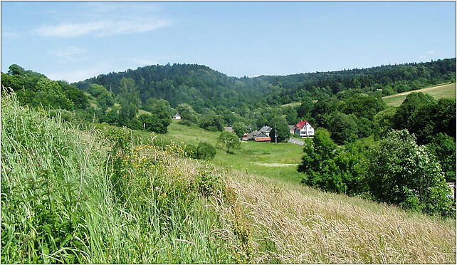 Boguszówka (województwo podkarpackie)-panorama2, Boguszówka 37-740 - Zdjęcia