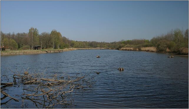 Boronów Doły staw 2009 p, Doły, Doły 42-283 - Zdjęcia