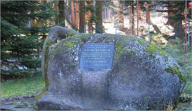 Borowice Cemetery 01, Borowice - Zdjęcia