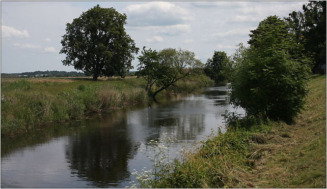Braniewo 005, Ujście, Ujście 14-500 - Zdjęcia