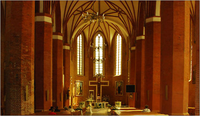 Braniewo bazylika wnetrze, Katedralna 1, Braniewo 14-500 - Zdjęcia