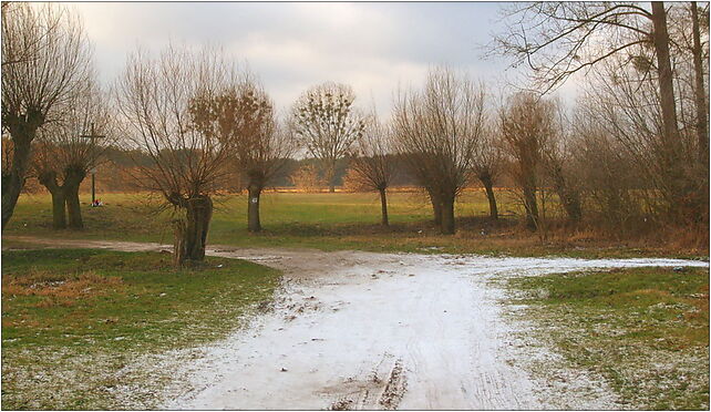 Brochów (woj mazowieckie) - dolina Bzury, Janówek, Janówek 05-088 - Zdjęcia