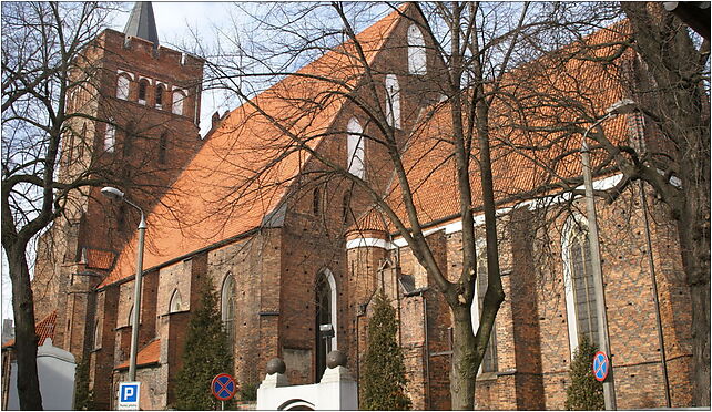 Brodnica kościół pw św Katarzyny, 18 Stycznia 7, Brodnica 87-300 - Zdjęcia