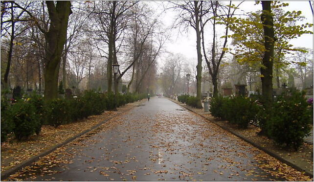 Brodno Cementery - main lane, św. Wincentego, Warszawa od 03-533 do 03-534 - Zdjęcia