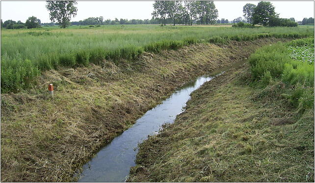 Brwinow, Zimna Woda 2, Biskupicka, Brwinów 05-840 - Zdjęcia