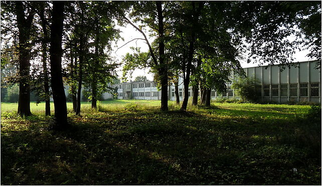 Brwinow, park miejski 4, Przejazd, Milęcin 05-840 - Zdjęcia
