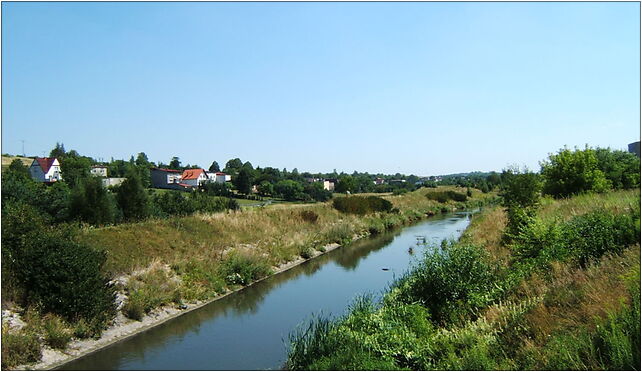 Brynica rzeka piekary slaskie brzozowice-kamien, Piekary Śląskie 41-949 - Zdjęcia